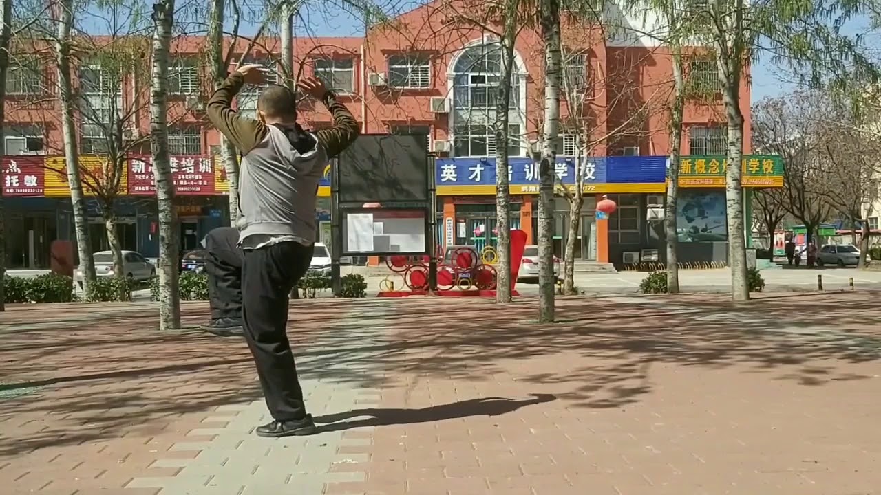 Shaolin Luohan Shi Ba Shou