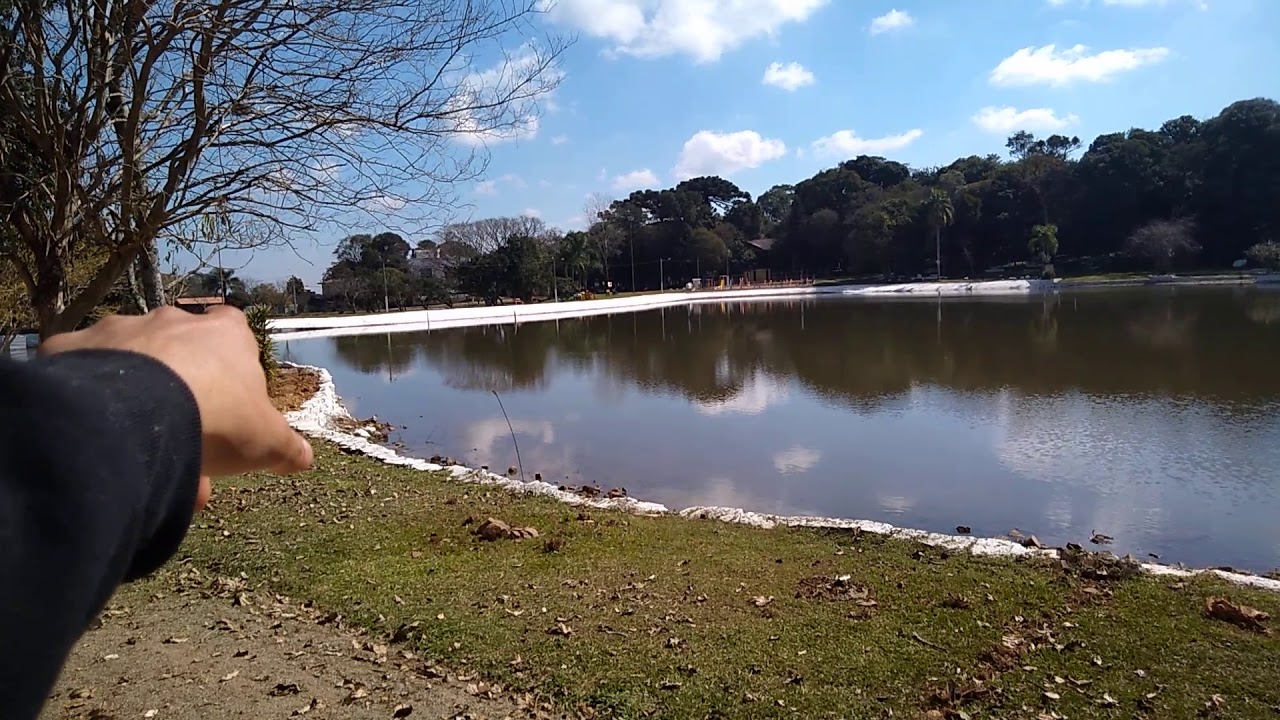 Lago cheio de peixes