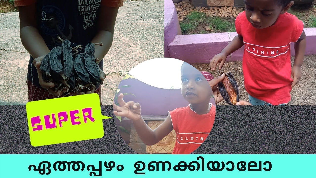 Dry fruit//dry banana// Nature Obscura with Kesu and Chanthu