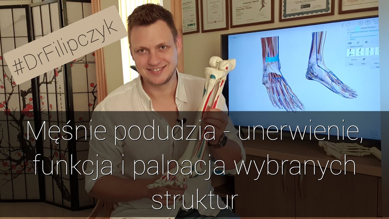 Męśnie podudzia - unerwienie, funkcja i palpacja wybranych struktur. #DrFilipczyk
