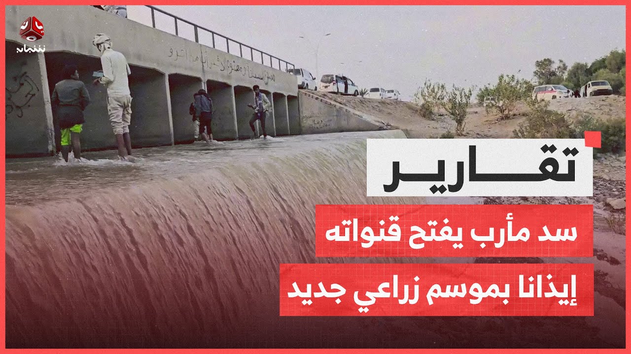سد مأرب يفتح قنواته إيذانا بموسم زراعي جديد يغطي 83 ألف هكتار