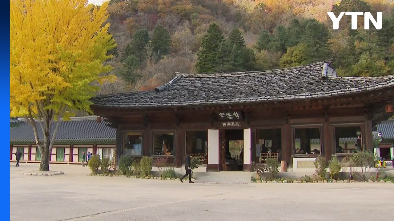 [날씨] 오늘까지 완연한 가을, 오후부터 기온 '뚝' / YTN
