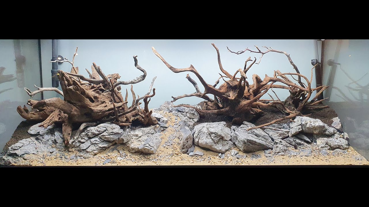 Scaping the new Juwel Rio 240l (time-lapse) Episode 2