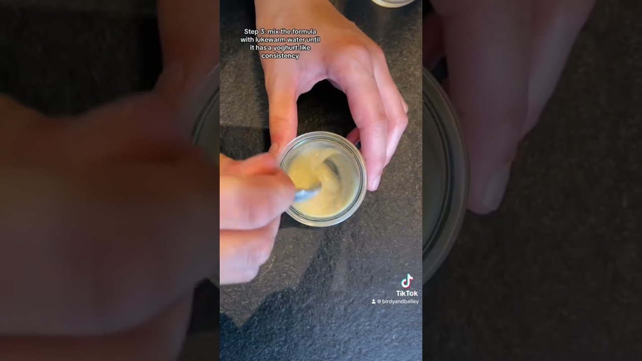 Handfeeding my baby cockatiels 🐣