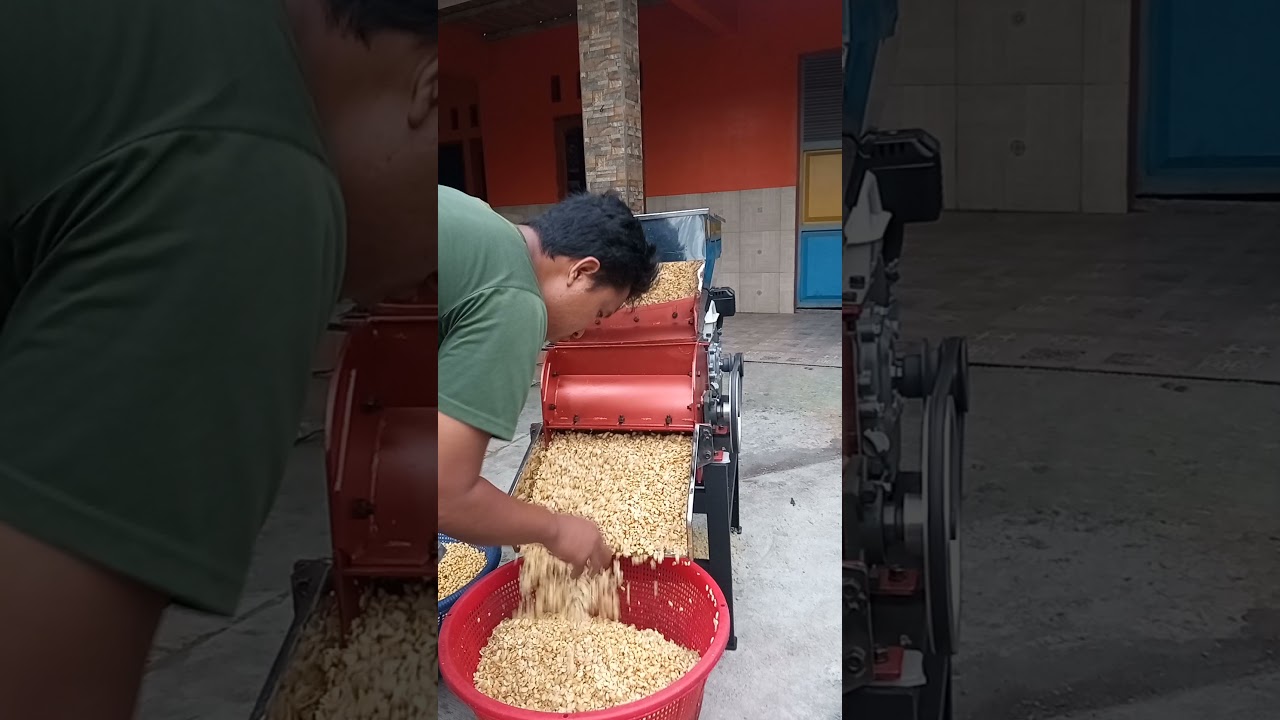 gilingan kedelai pisah kulit tercepat.
