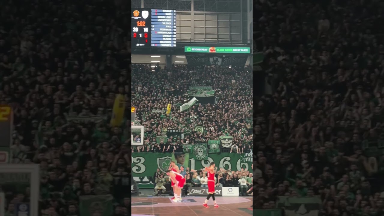 THIS IS OAKA 🗣️☘️ #PAOFans #WeTheGreens #paobcaktor