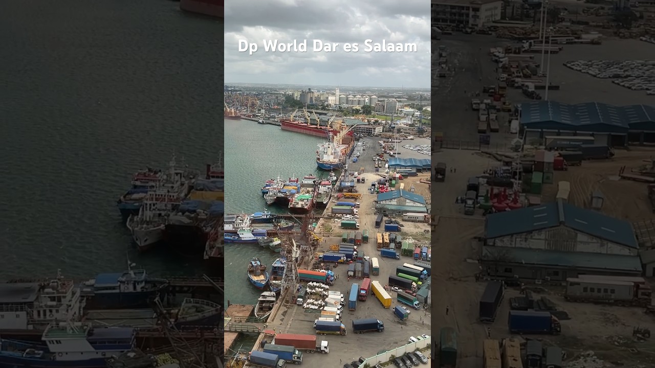 Dp World Dar es salaam Port.#dpworld #travel #tanzania #ship #ports #exploretanzania #shorts #virals