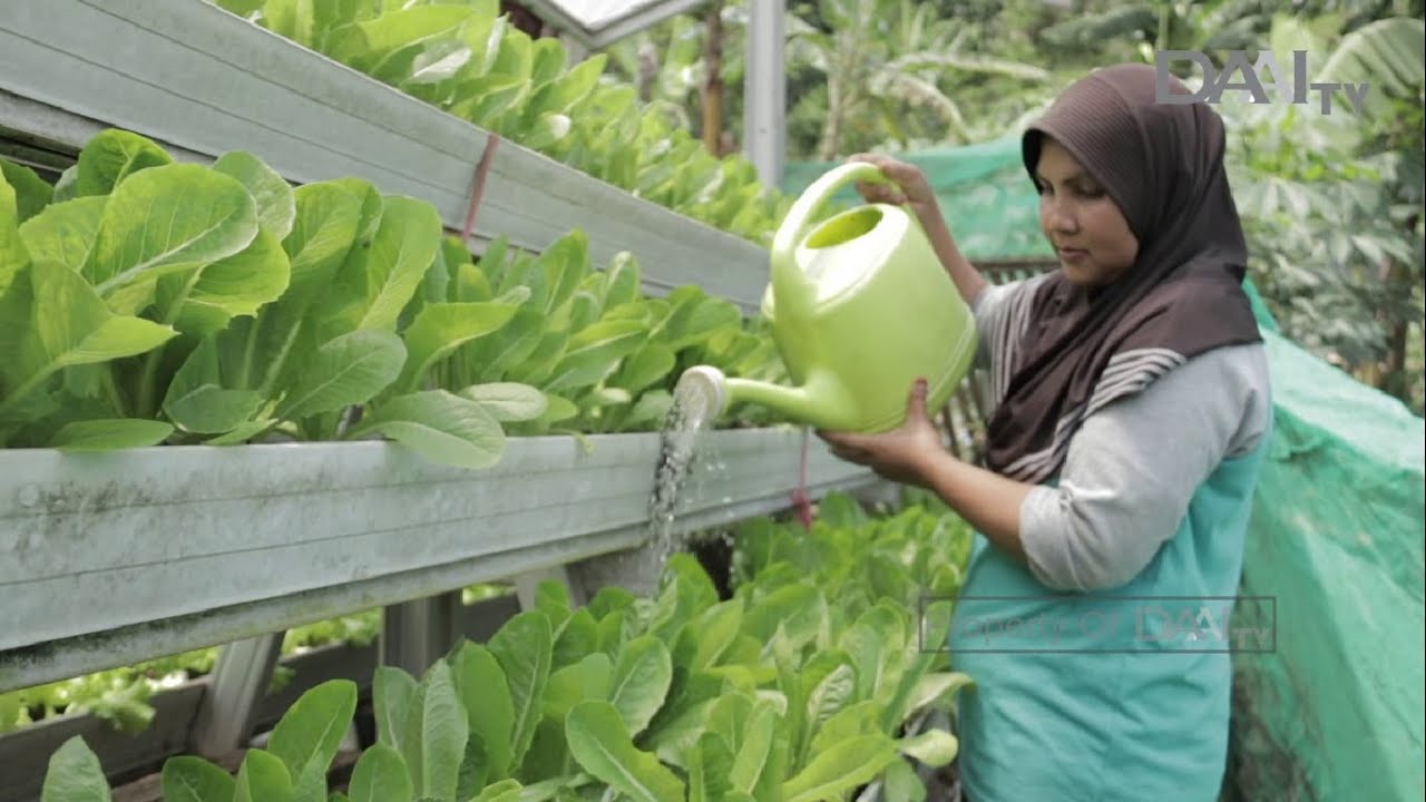 Perempuan Bertani, Perempuan Berdaya | Bumiku Satu