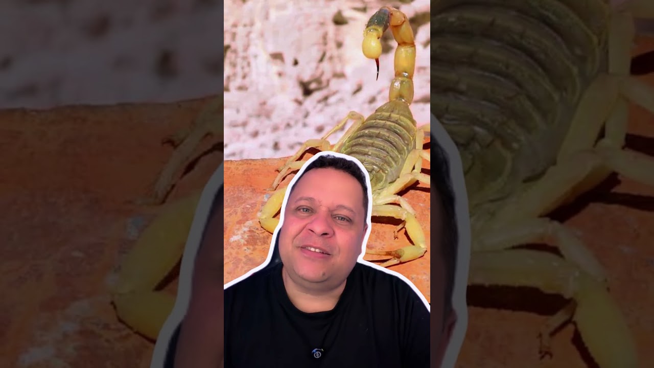 O animal que NÃO PRECISA de macho, sobrevive 1 ANO sem comer e está entrando na sua casa pelo RALO