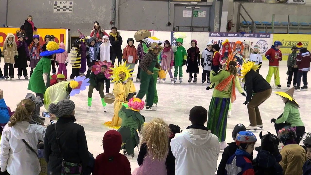 Karneval na ledě - ZŠNČP - a vystoupení našeho  úžasného učitelsko-vychovatelského sboru :-D