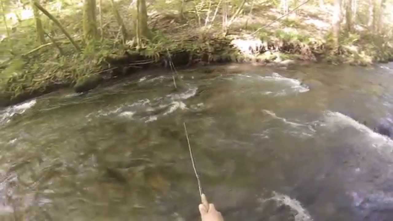 Nymphe au fil , Ariège