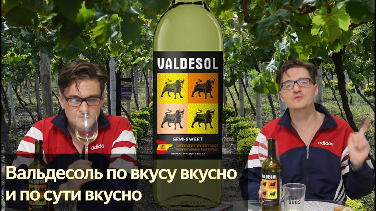 Вино Вальдесоль белое полусладкое, дегустация!