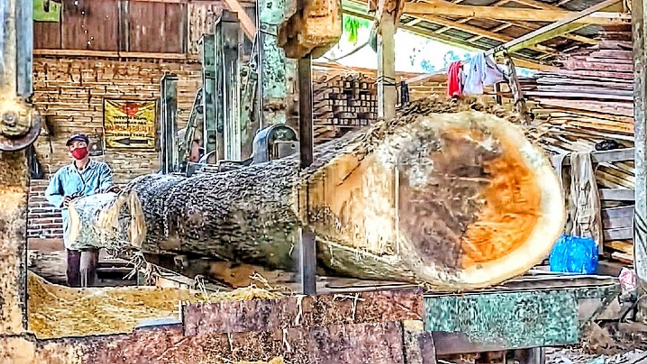 An 11-meter-long teak log is expertly transformed into smooth, durable planks at the sawmill. 🌳🪵