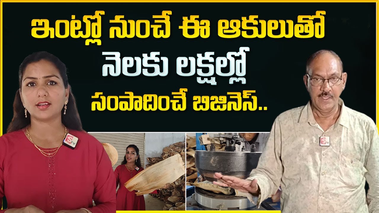 Areca Leaf Plates Manufacturing Business || Low Investment High Profit || Money Management || MW