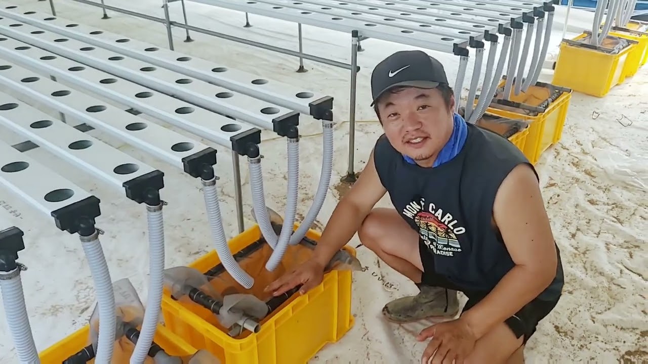 지평농부 박막수경재배 NFT 시설설치 과정을 소개합니다.