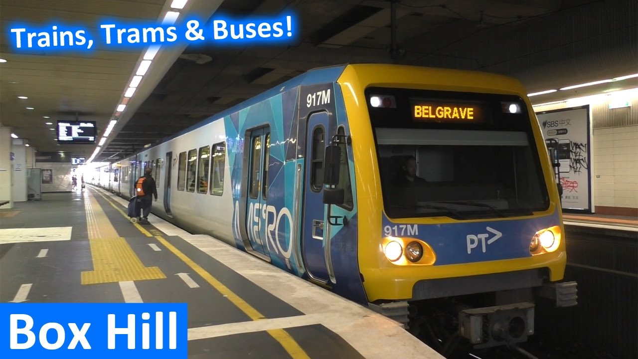 Trains, Trams & Buses at Box Hill - Melbourne Transport