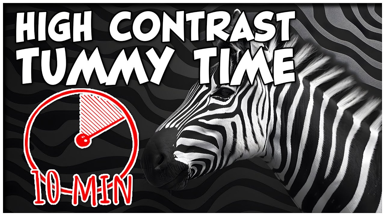 High Contrast Video for Tummy Time| 10 - Minute Tummy Timer for Infant Stimulation & Development