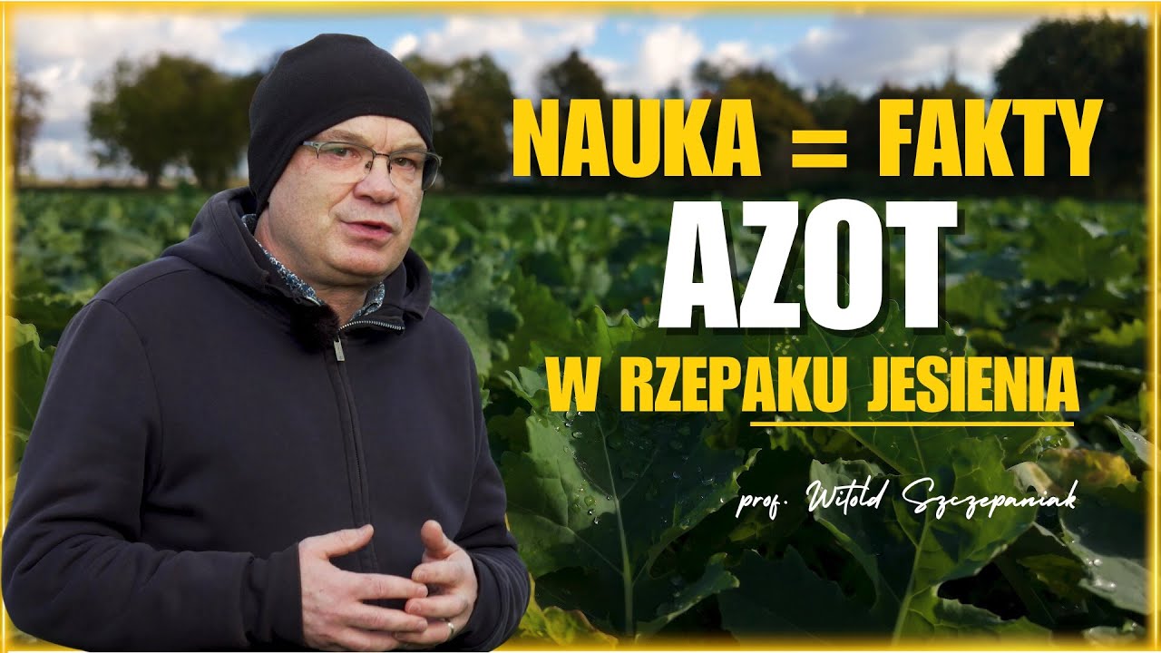 Zaskakujące wyniki doświadczeń w rzepaku! 😮Cała dawka azotu na jesień?! e-pole