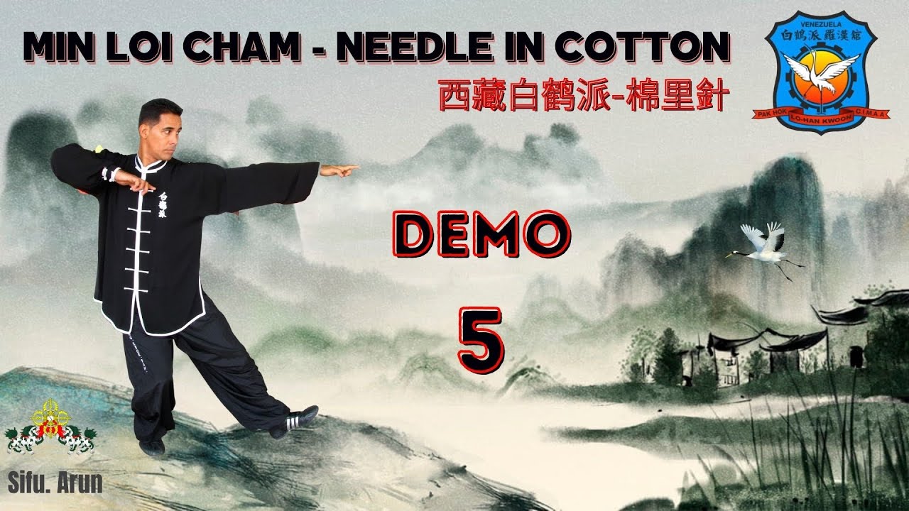 PAK HOK PAI NEEDLE IN COTTON PART. 2  | INTERNAL TIBETAN WHITE CRANE SYSTEM | GRULLA BLANCA | 白鶴派