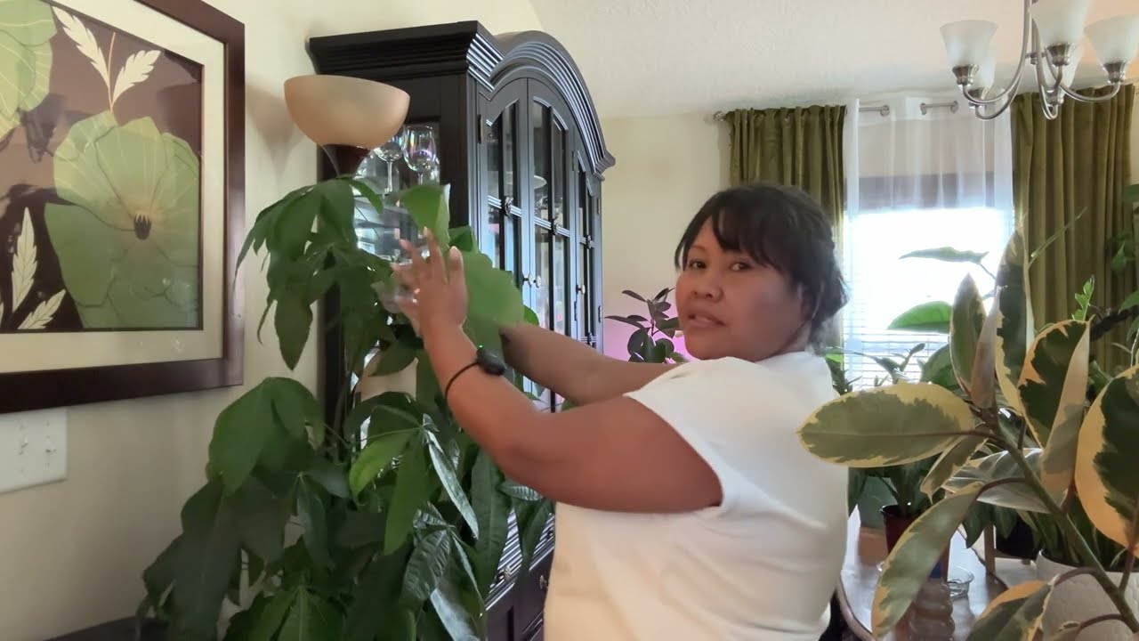 ASMR | Whispering While Dusting Wiping My Indoor Plants 😁 Water Spray Sound  💦 Plants Tingles 😂