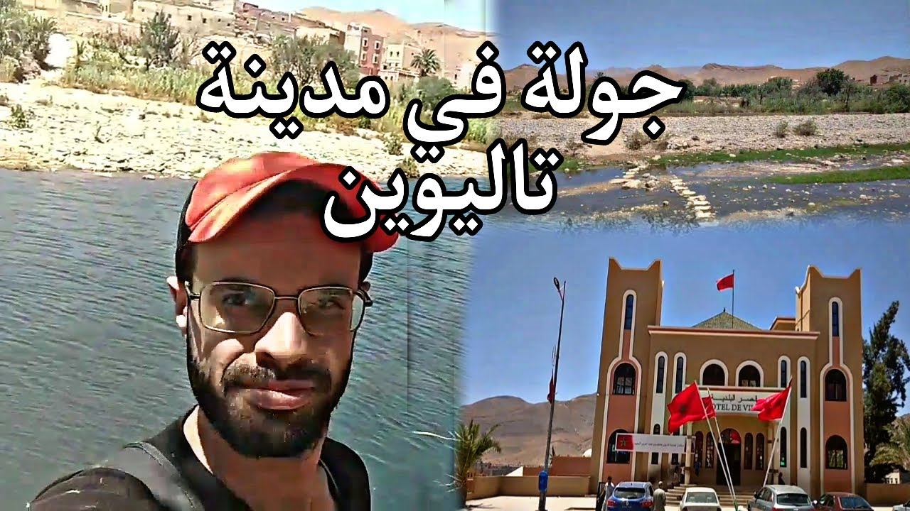 جولة في مدينة تاليوين