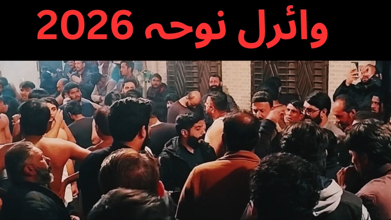 Viral noha | nohay 2026