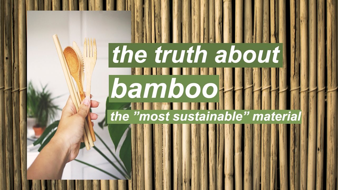 THE IMPACT OF BAMBOO // the good, the bad, and the unnecessary zero waste swaps