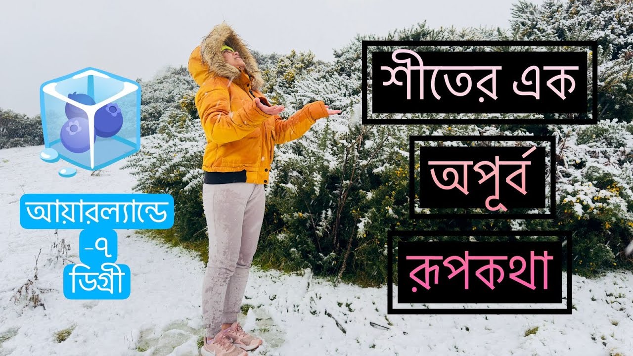 শীতের এক অপূর্ব রূপকথা। আয়ারল্যান্ডে -৭ ডিগ্রী।বরফ ঢাকা একদিন।Indian In Ireland I Irish Winter