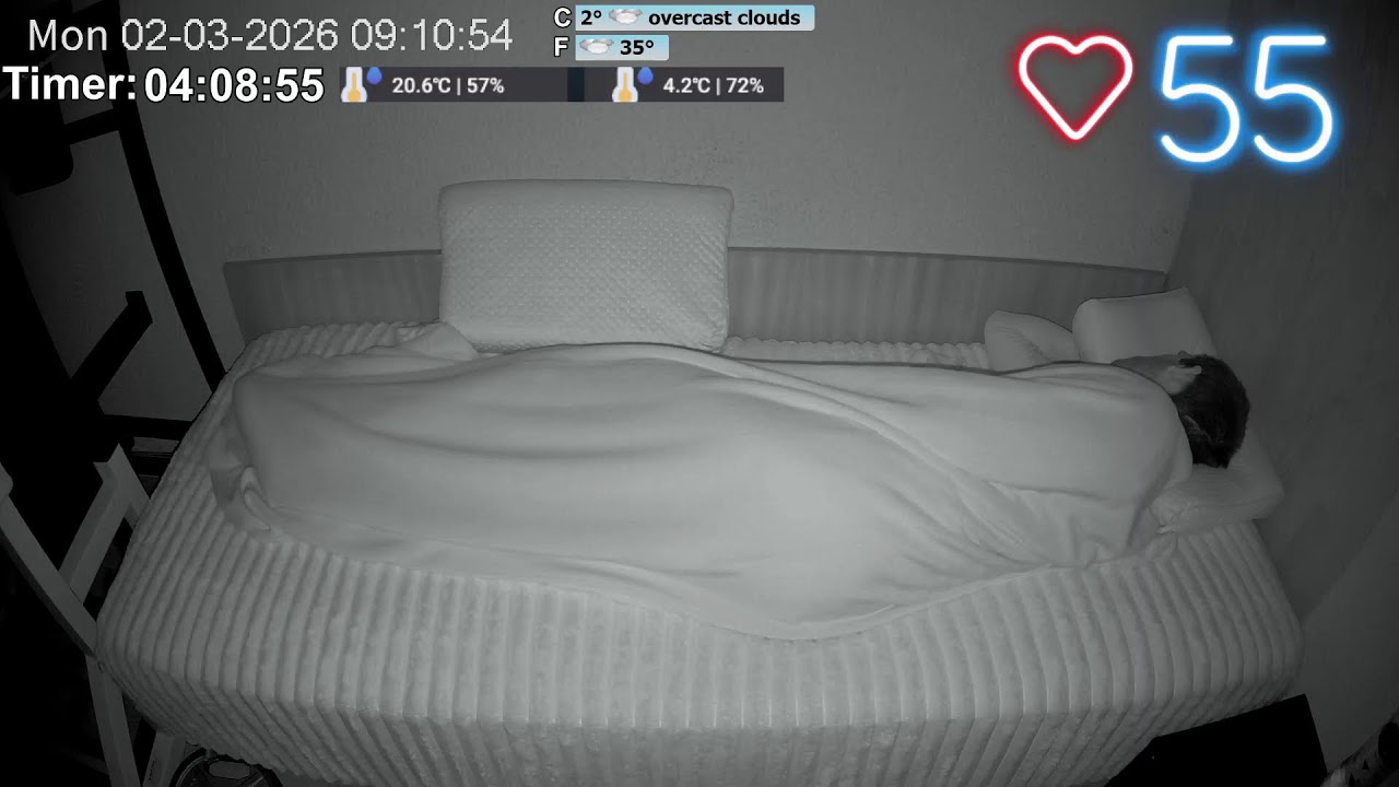 Normal Sleep Stream ASMR №1287 2.03.2026