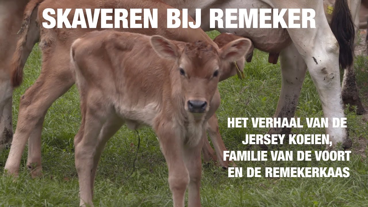 Skaveren in Gelderland bij boerderij Remeker