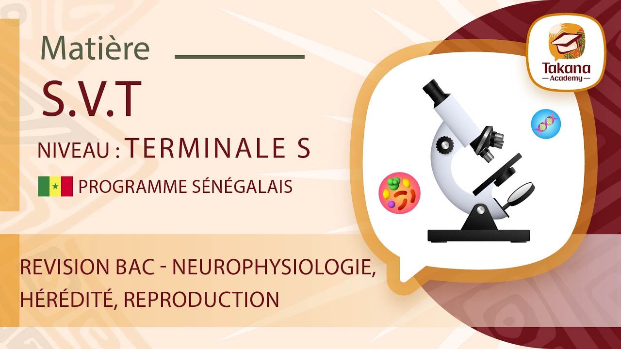 SVT || Revision BAC  Neurophysiologie, hérédité, reproduction || Terminale S