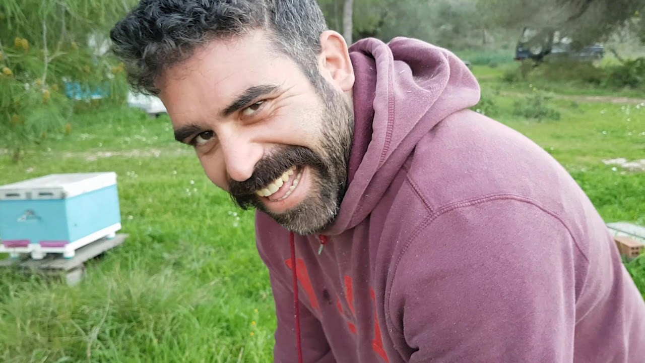 Στα μελίσσια λίγο πριν την άνοιξη του 2019