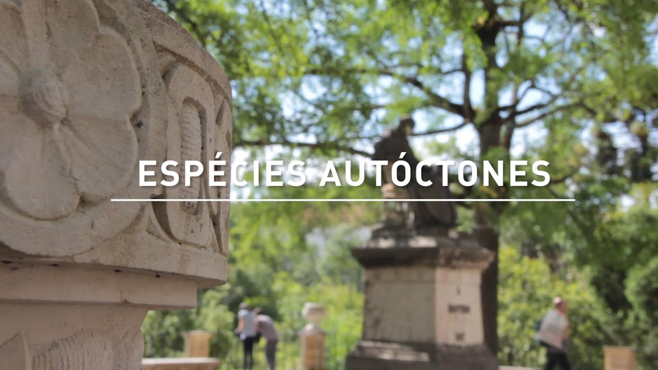 05 - Junho | Plantas Autóctones