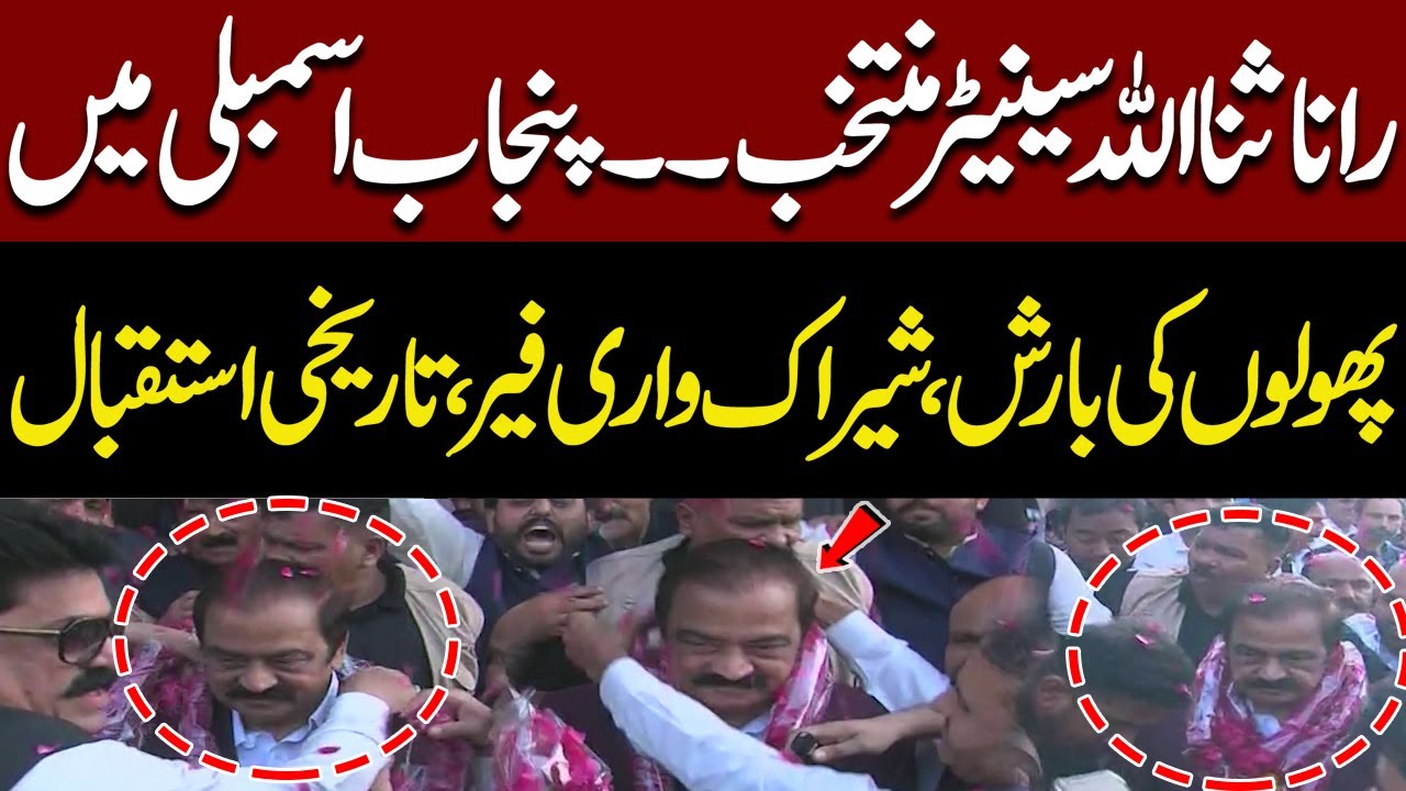 Rana Sanaullah Hero’s Welcome After Becoming Senator | Massive Reception At Punjab Assembly Today