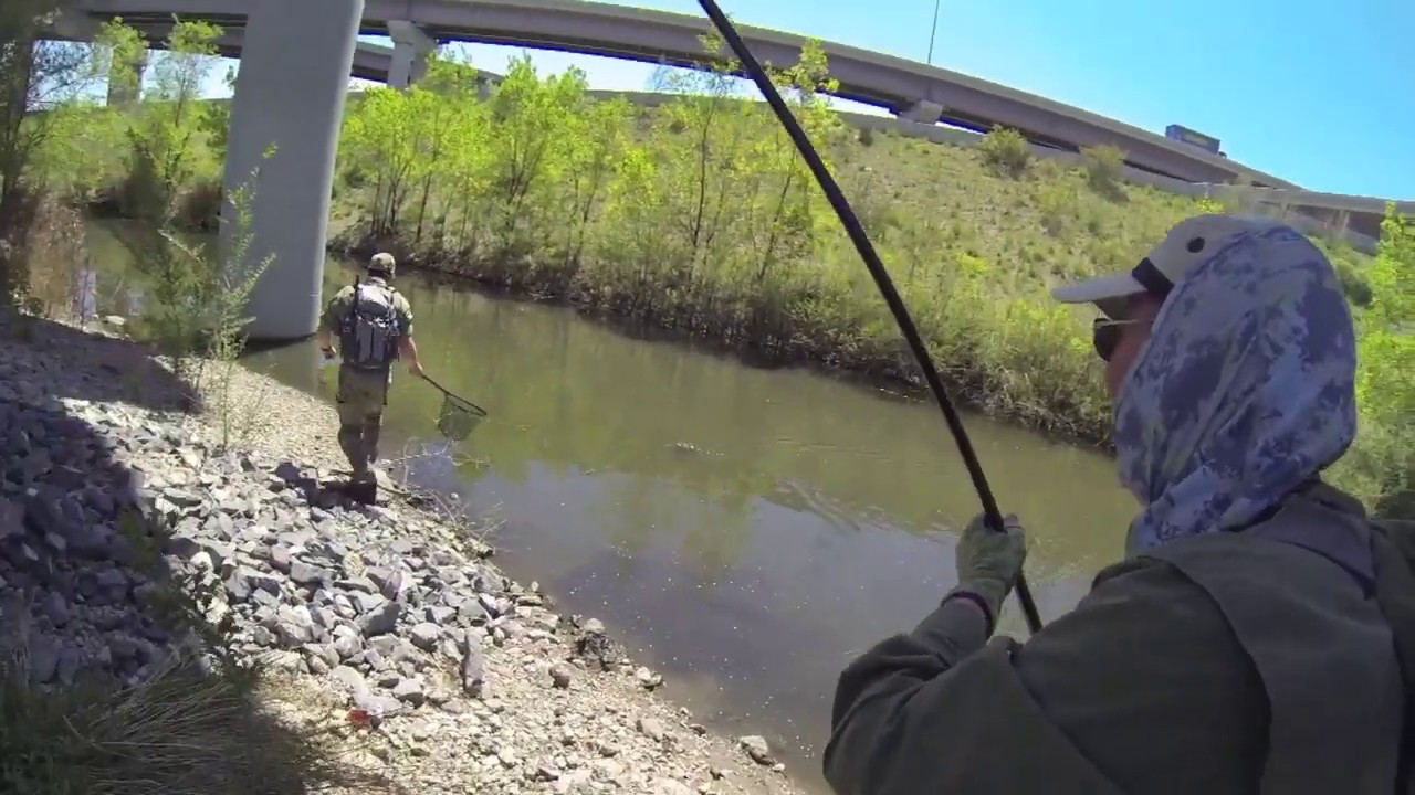 073. Tenkara Guides Urban fishing trip, Part II -- May 2014 CARP!!