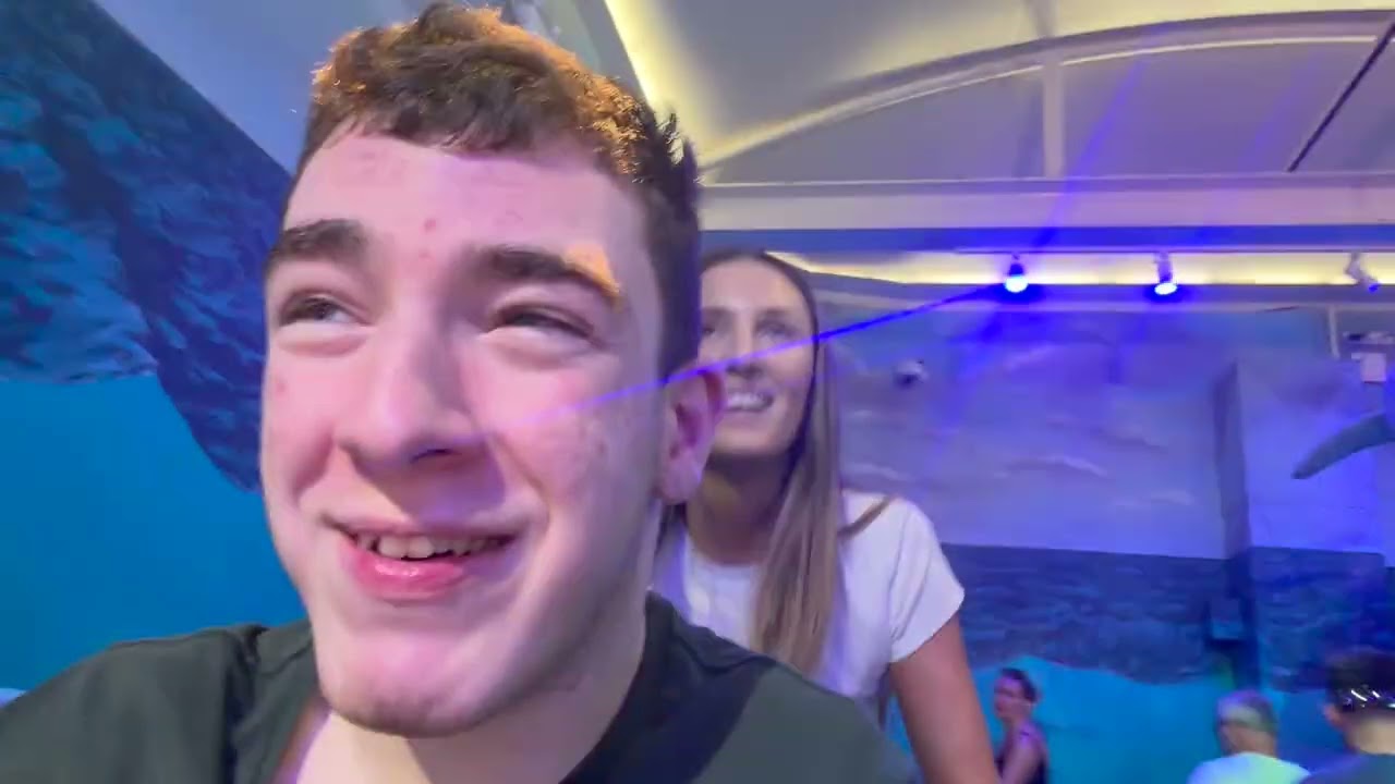 harrys big day out