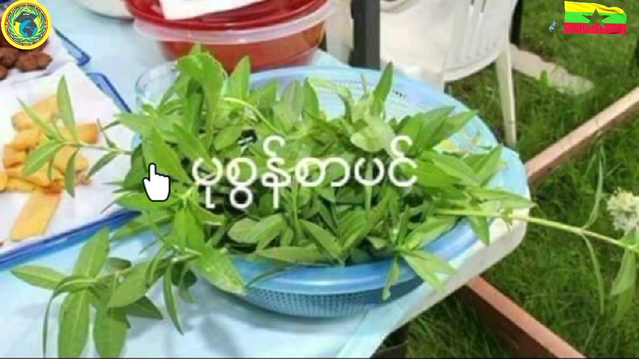 စနစ်ဟောင်း၊Grade.5,မြန်မာစာ၊ရိုးတစ်လျှောက်(ကဗျာ၏စကားပြေ)
