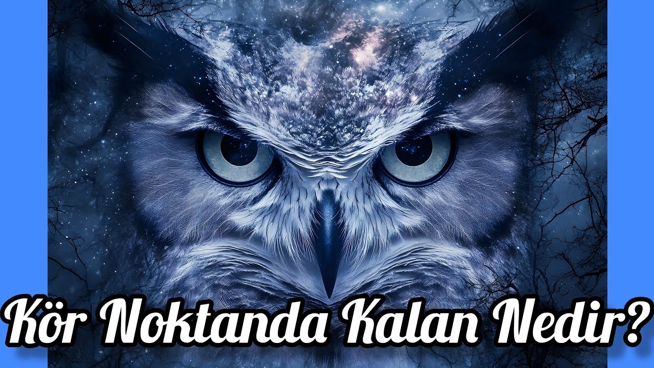 Parlak Bir Perspektif İçin İzle! Bir Deste Seç. Zamansız Okuma. 