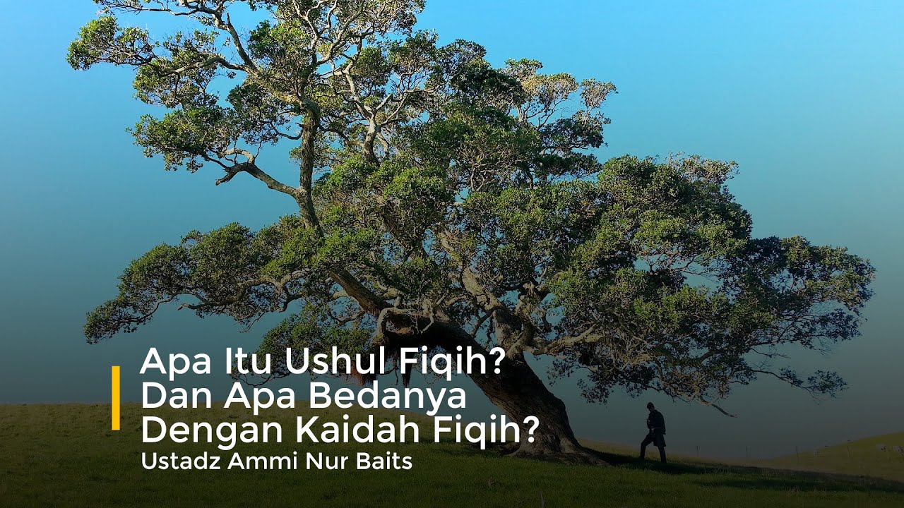 Apa itu ushul fiqih? dan apa bedanya dengan kaidah fiqih? - Ustadz Ammi Nur Baits