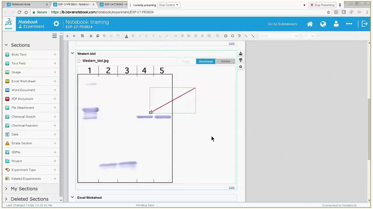 BIOVIA Notebook Walkthrough