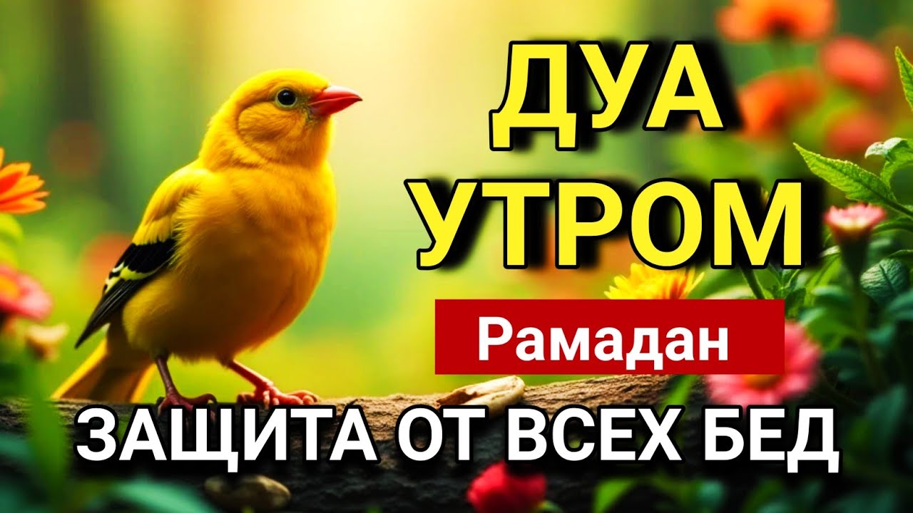 💖🔑 СИЛЬНЕЙШЕЕ  Рамадан ДУА УТРОМ ОТ ВСЕХ БЕД   🤲✨💯