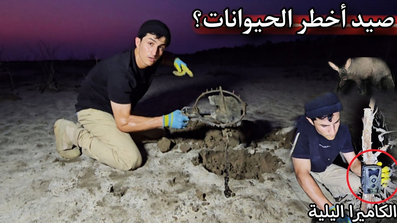 وضعت الكاميرا اليلية لرصد أغرب الحيوانات المفترسة 🐺  طريقة صيد الخنزير 🐖🔥