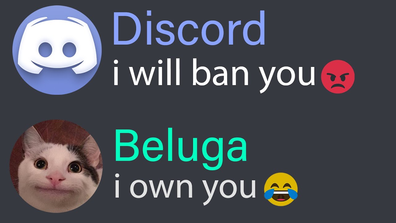 When Beluga Speedrun Discord...(9.13 seconds)