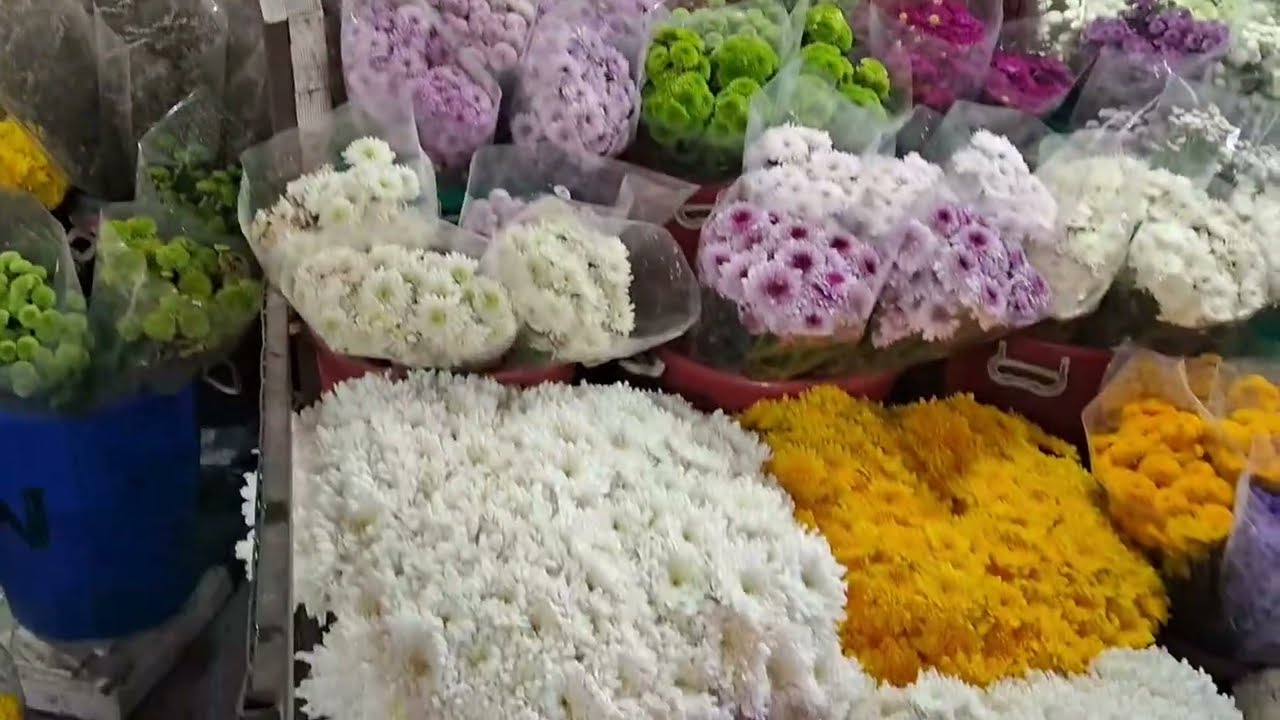 Flower Market I Phool Mandi #shorts #short #youtubeshorts #flowers #trending #flower #shortsfeed 