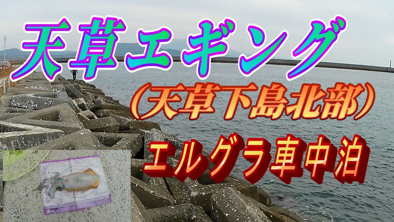 天草エギング（天草下島北部）でエギングしてきた