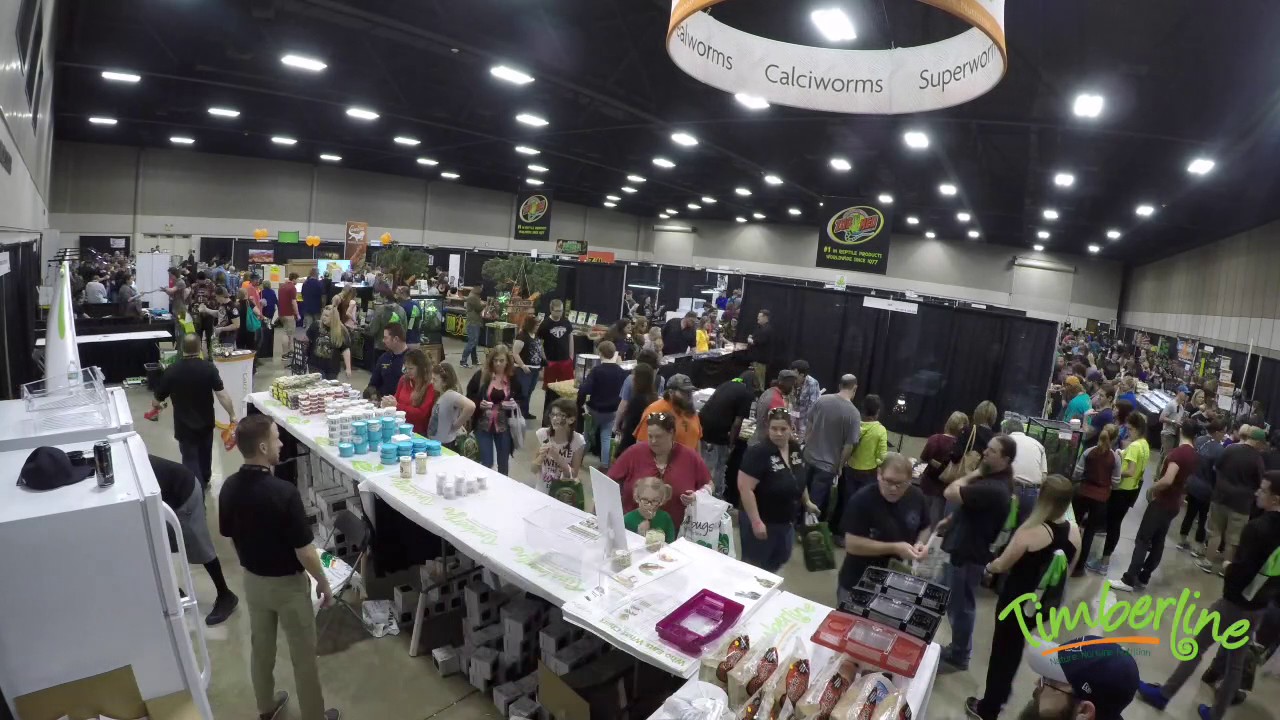 NARBC Arlington Feb 2017 Day 1