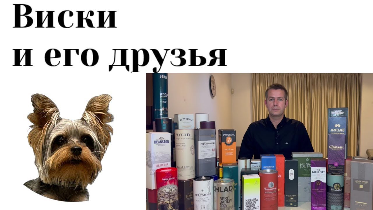 Лучшие и худшие 80 видов виски