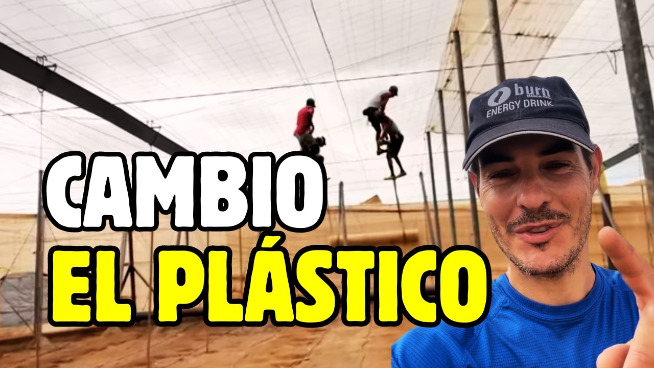 ¡Impresionante! Mira cómo cambía el plástico de un invernadero de Almería 🌍