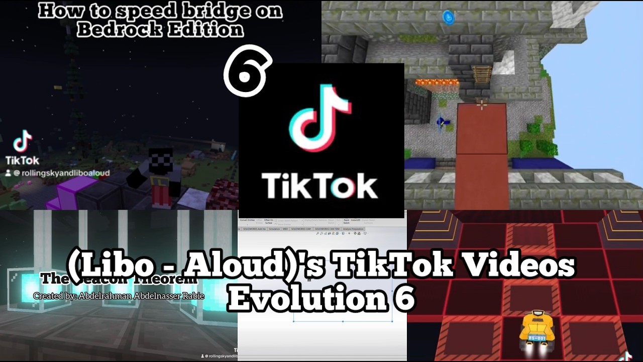 (Libo - Aloud)'s TikTok Videos Evolution 6