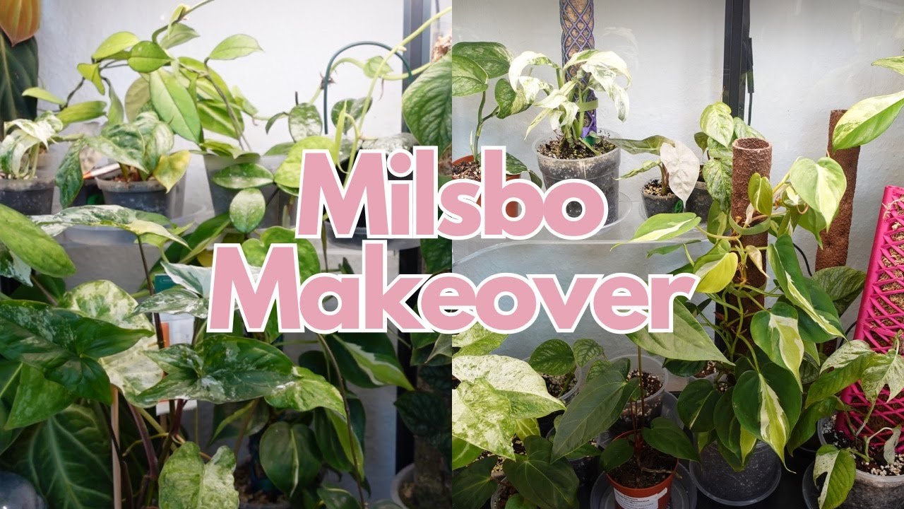 Milsbo Greenhouse Cabinet MAKEOVER 🪴✨